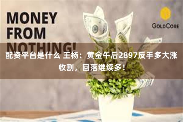 配资平台是什么 王杨：黄金午后2897反手多大涨收割，回落继续多！
