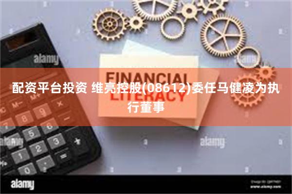 配资平台投资 维亮控股(08612)委任马健凌为执行董事