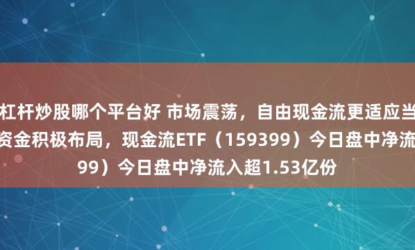杠杆炒股哪个平台好 市场震荡，自由现金流更适应当下宏观环境！资金积极布局，现金流ETF（159399）今日盘中净流入超1.53亿份