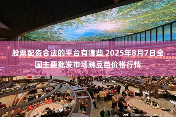 股票配资合法的平台有哪些 2025年8月7日全国主要批发市场豌豆苗价格行情