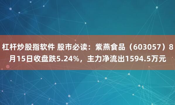 杠杆炒股指软件 股市必读：紫燕食品（603057）8月15日收盘跌5.24%，主力净流出1594.5万元