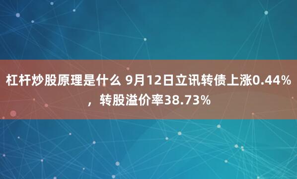 杠杆炒股原理是什么 9月12日立讯转债上涨0.44%，转股溢价率38.73%